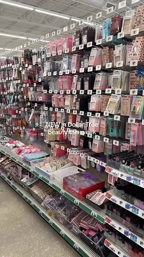 1.8K reactions · 38 shares | dollar tree vlog!! 懶 #dollartreefinds | Grace smith new insta profile | Facebook