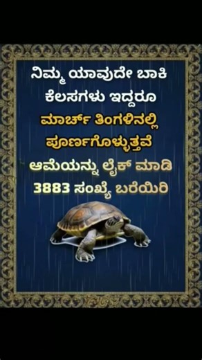 ಆಮೆಯನ್ನು ಲೈಕ ಮಾಡಿ 3883 ಸಂಖ್ಯೆ ಬರೆಯಿರಿ...,,🙏🙏