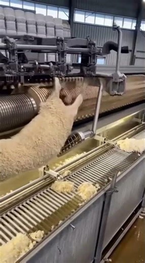 Perfect Automatic Sheep Shaver 🐑⚙️