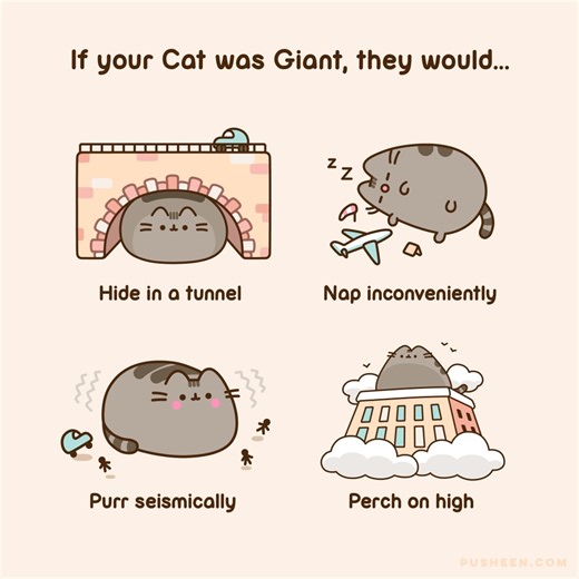 265K views · 4.1K reactions | If your cat was Giant, what would they do?  | Pusheen | Facebook