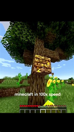 minecraft 100x speed