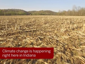 41K views · 551 reactions | Do you believe that Indiana can become a model of sustainability for the world? We do. We're betting big on our plan for resilience in the face of climate change. Hoosier businesses, non-profits and elected officials are beside us. Learn about our $55 million environmental resilience initiative: bit.ly/2pS5C0a | Indiana University | Facebook