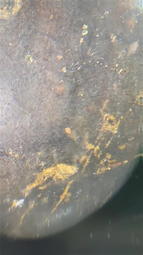 gold/metallic particles of oxidation, that has concentrated along its fissure edge. Particles are often smooth and rounded due to