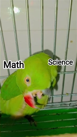 math Vs science