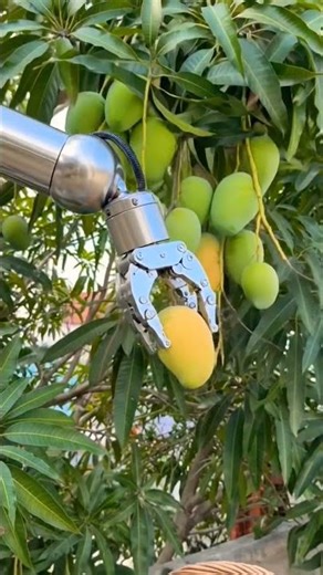 mango cutting #videomaker #wevideo #visualreel #youtubetv #youtubeinfluencer #youtubestudio #youtube