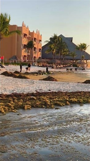 Amanecer en la playa del hotel Royal haciendas en playa del Carmen