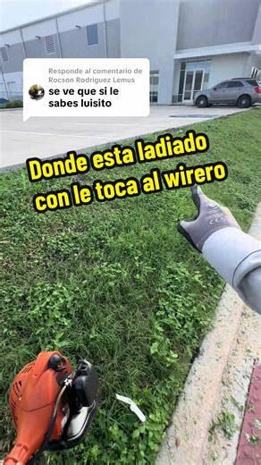 Yard Work Tips with Trimmer Techniques