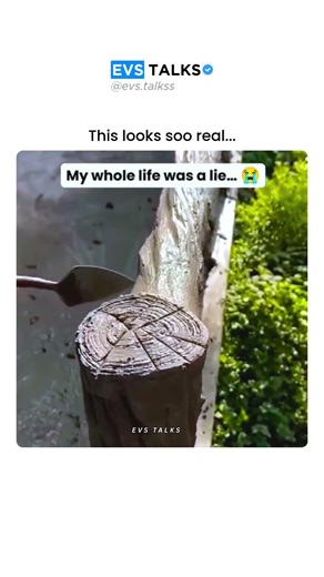 This Looks Like Wood… But It’s Cement 🤯🧱 | How They Do It