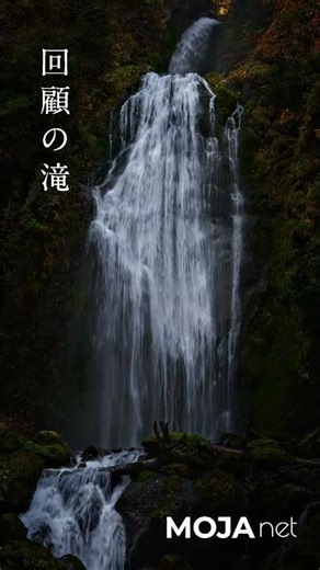回顧(みかえり)の滝の紅葉風景｜秋田の滝｜Nikon Zf #滝 #田沢湖 #絶景 #紅葉 #秋田県