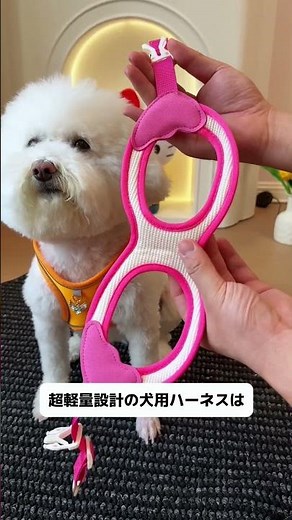 欲しい人は「欲しい！」ってコメントして👇 夏のお散歩に超便利な犬用ハーネス！たった 3 秒でパパッと装着完了、すぐにお出かけできちゃうんです！#犬 #ハーネス #ハーネスとリード #可愛い #犬のい