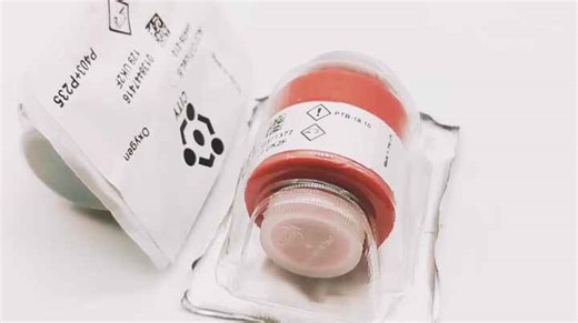 AO2 AA428-210 Oxygen Gas Sensor Partial Pressure Electrochemistry 3 Pin Molex Header