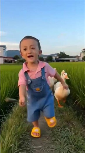 The Ducks Fought Back! 😂🦆