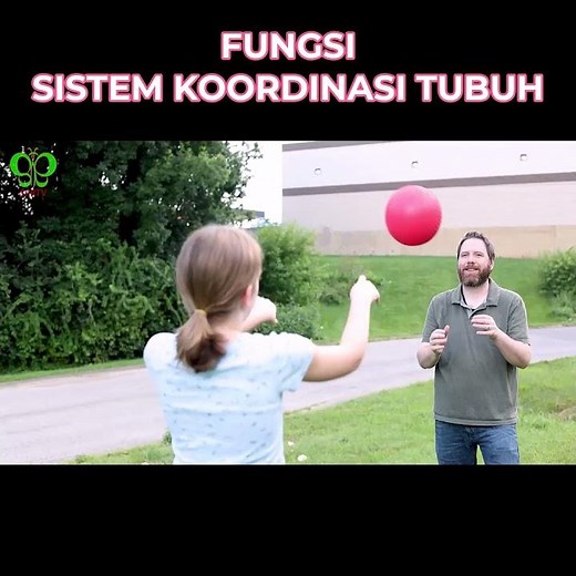 HOW THE HUMAN COORDINATION SYSTEM WORKS #learning #biology #science