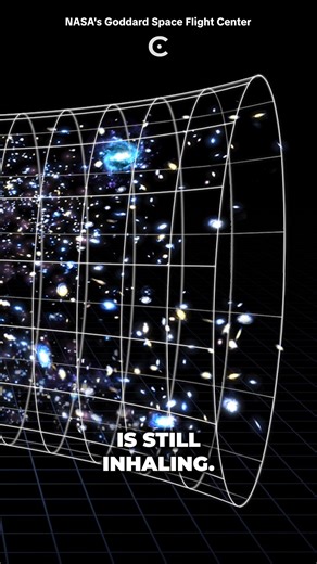 The universe is alive. | Cosmoknowledge