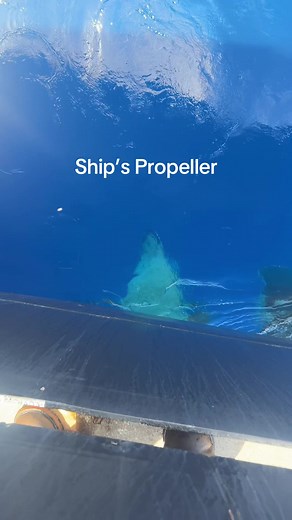 Exploring Submechanophobia: Ships Propellers in Clear Water