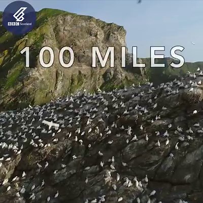 2.3M views · 9.1K reactions | This is going to be epic. | BBC Scotland | Facebook