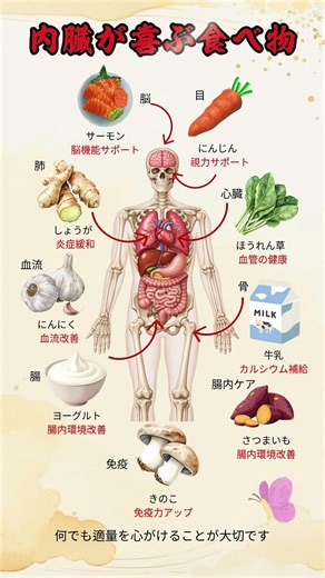 内臓が喜ぶ食べ物9選 #健康 #内臓ケア #免疫力 #腸内環境 #血管健康 #食生活 #健康習慣 #ショート動画 #YouTubeショーツ