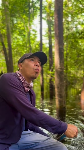 Amazonia Expeditions Tahuayo Lodges on Instagram: "This is how we communicate with monkeys in the Amazon Rainforest…. the capuchin is considered to be the most intelligent of the New World monkeys, especially noted for their tool usage. Some examples include: using stones & sticks to crack open tough nuts and fruits, or even using a stable, flat stone as an anvil. Tools are then left at select sites for future use… really amazing! These are some of the few examples of primate tool use other than