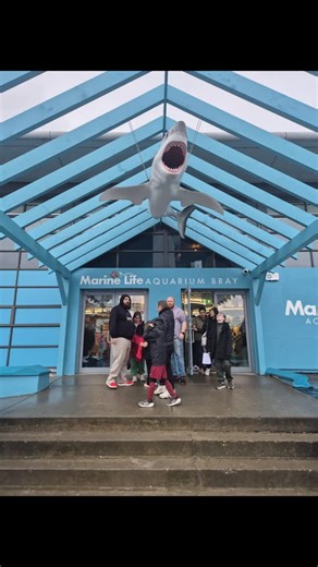 Zoe Flanagan on Instagram: "Marine Life Bray 🥰 . We had such a great day today bringing finn and addie to the new marine life in bray with friends . . Finn got to see a lot of axolotls and eggs, so we will be returning soon to see how the babies are developing. . The setup is lovely, and we got to see some of the fish and shark being fed. . Also, the staff were so helpful in showing us where things were and telling us the feeding times. . If you're looking for something fun to do, i would recom