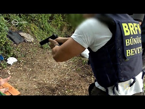 Kékfény - Akciófilm (2020.08.31.)