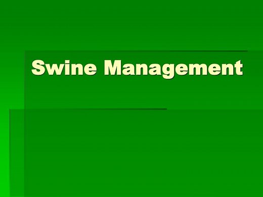 Swine Management - SlideServe