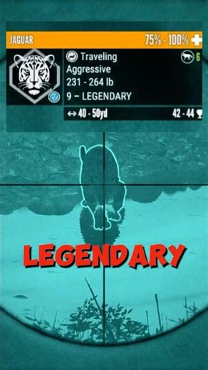 This AGGRESSIVE Level 9 Jaguar Had Me Worried… 😳🐆
