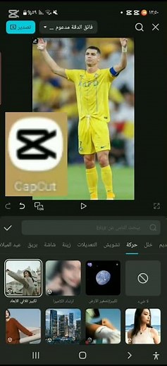 طريقة استخدام cup cat في الهاتف.