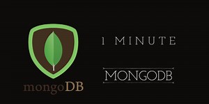 In One Minute : MongoDB