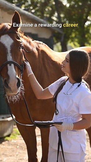 Want to become a Vet Tech? Start with our affordable, accredited online degree program! Learn more today. | Penn Foster