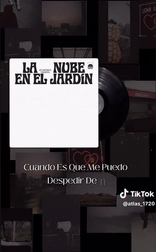 Ed Maverick: La Nube en el Jardín - Nueva Canción Favorita