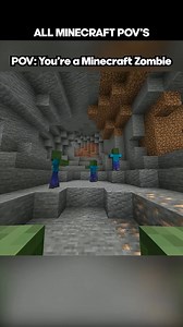 The Best Minecraft Mob POV Moments | McBigness