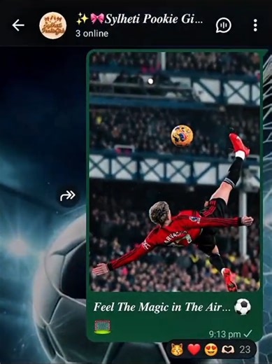 FIFA Song Celebration: Emotion & Unity ⚽🔥