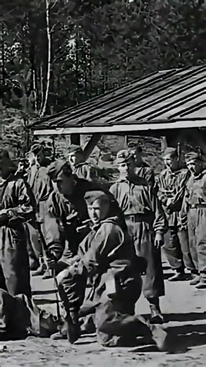 17th SS Panzergrenadier Rank, Waffen SS, Normandy 1944, Caen, Overlord, DDay #ww2 #military #panzer