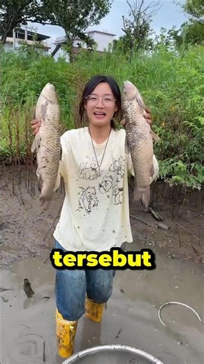 This Woman Found 2 Huge Fish in a Puddle...??😱 #fish #aquarium #viral