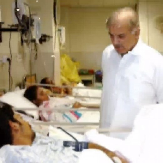 6K views · 302 reactions | Shehbaz Sharif's personal involvement in anti-dengue drive eradicated the virus in record speed. #nCares | PML(N) | Facebook