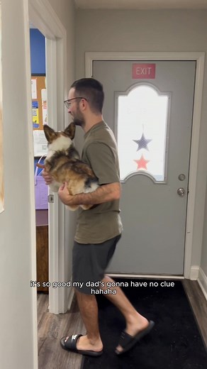 "I thought it would be cute. I didn’t think I’d cry. It looks EXACTLY like him." 💕 We don’t do generic. Every Cuddle Clone is hand crafted to match your pet’s unique markings, ears, body shape, even that crooked little smile. 🧵 Made by artists. Fully custom. 🎉 Now $150 off for a limited time. ❤️ A portion of each purchases go towards saving 3,000 shelter pets 👉 Send us a few photos. We’ll take care of the magic. Celebrate your pet, while they’re here to enjoy it with you. | Cuddle Clones