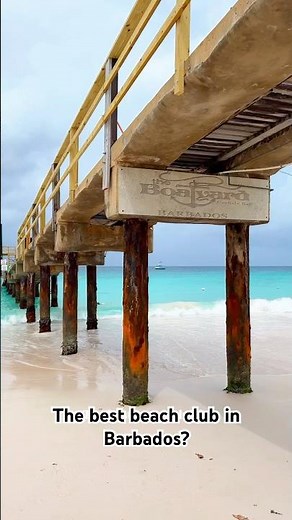 This is one of the best beach clubs in Barbados! 🌴 #beachclub #barbados #caribbeantravel