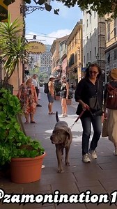 Damn !! Jesus Christ 😅🤣 I was scared I won’t lie 😅😅😅 | Zamonination1