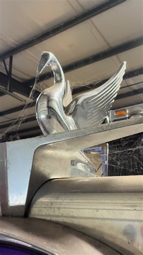 Peterbilt 379 Single Turbo Review and Insights