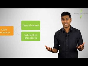 CPA Audit Procedures