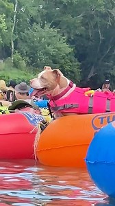 9.4K reactions · 265 comments | ✨GIVEAWAY ✨ (4) FREE FLOAT TICKETS...