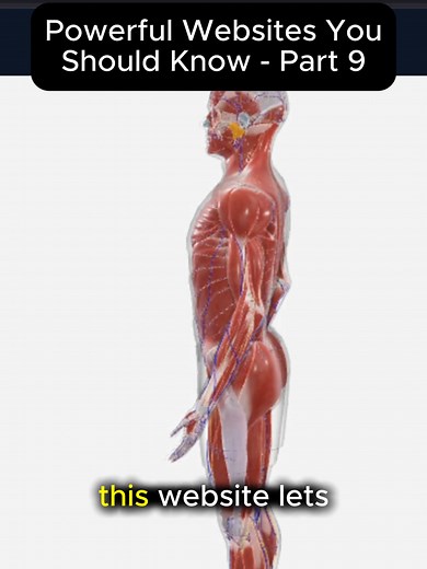 Explore the Human Anatomy in 3D with BioDigital Human