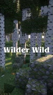 MOD SHOWCASE - Wilder Wild #minecraft #minecraftmods #wilderwild #moddedminecraft