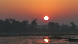 Keoladeo National Park - An Enduring Paradise for Birds