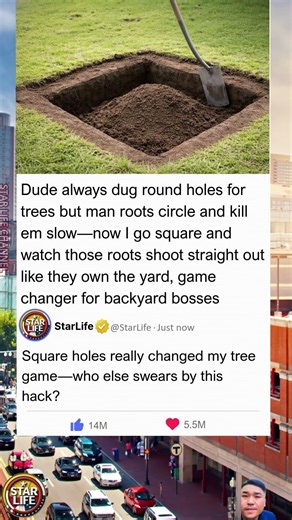 Square Hole vs Round: The Tree Planting Hack That Saves Roots and Boosts Survival