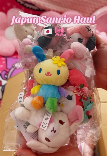 Sanrio Shopping Extravaganza: Kawaii Haul from Japan