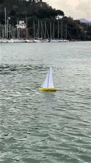 Matteo's RG65 doing 4kts upwind!