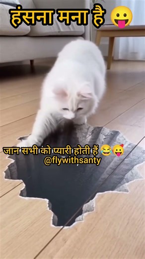 जान सभी को प्यारी होती हैं! 😛#shorts #funny #comedy #@flywithsanty