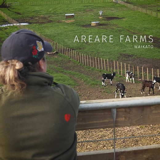 Meet the CalfExpert - the automated calf feeder trusted by Kiwi farmers for nearly two decades. ✔ Reduce labour ✔ Feed up to 150 calves per unit ✔ Wean by age or weight ✔ Make data-led decisions ✔ Industry-leading back-up support | Bell-Booth Ltd.