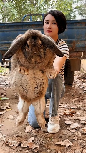 Rolling into snack time like a pro. #plush #fatty #mood | Adorable Fat Rabbit | Facebook